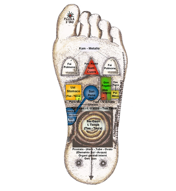 Riflessologia Plantalare On Zon Su 2