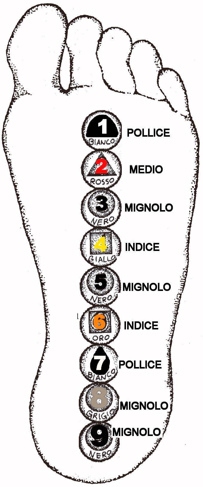 Riflessologia Plantalare On Zon Su School