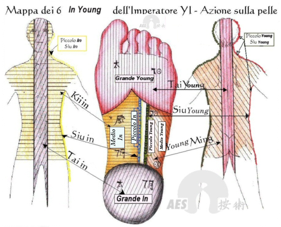 Corso riflessologia plantare Milano