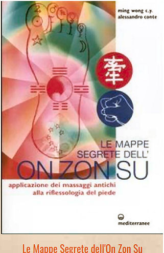 Le mappe segrete dell'on zon su